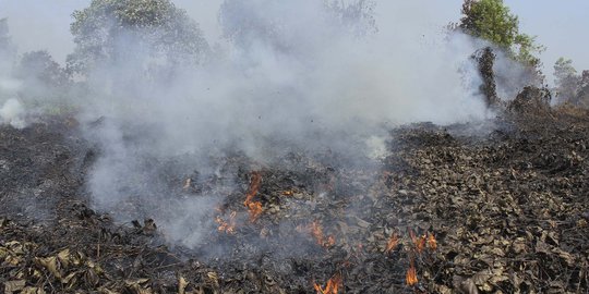 Polisi tetapkan 183 tersangka pembakaran lahan di Riau