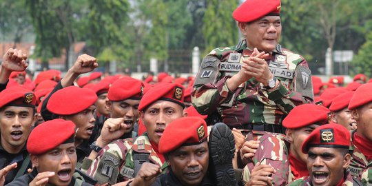 Komisi I yakin pemberhentian Budiman tak terkait netralitas TNI