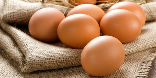 6 Fakta tentang telur yang jarang diketahui