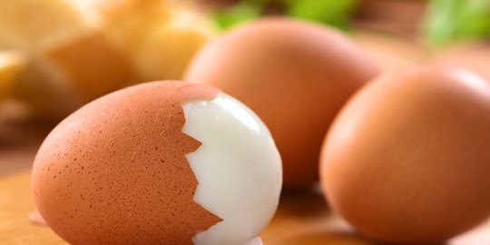 tak mempengaruhi nutrisi