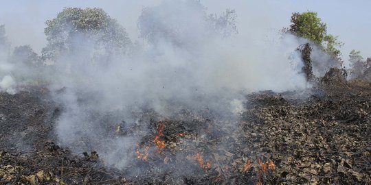 Dampak kebakaran hutan ganggu santap sahur warga Pekanbaru