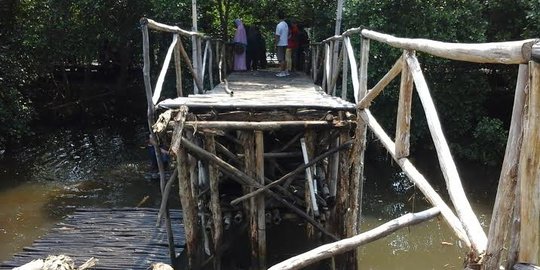 Jembatan Wisata Alam Mangrove ambruk, belasan orang tercebur