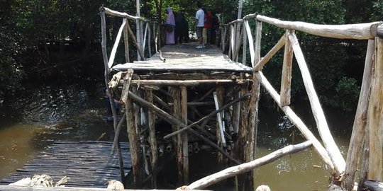 Belasan orang tercebur di jembatan Wisata Mangrove dievakuasi