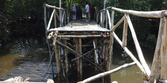 Petugas keamanan: Kapasitas jembatan Wisata Mangrove 5-6 orang