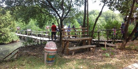 Foto pakai SLR di Wisata Alam Mangrove, warga didenda Rp 1 juta