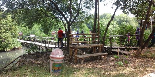 Jembatan wisata mangrove ambruk, pejabat Kemenhut luka-luka