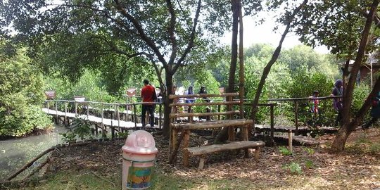 Pasca jembatan ambruk, Taman Mangrove tetap ramai pengunjung