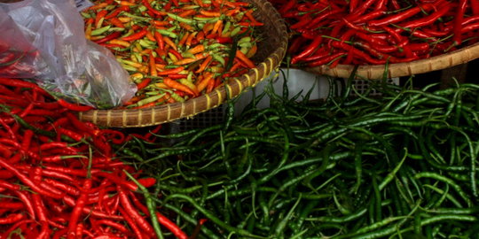 Impor mengalir deras padahal produksi cabai dan bawang naik