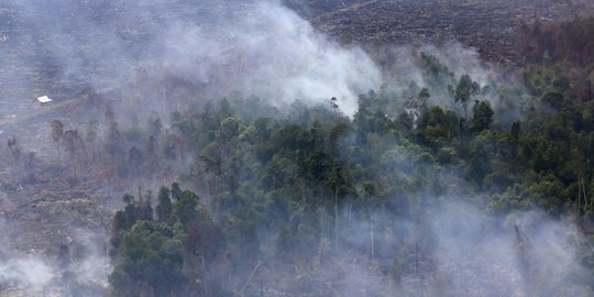 Parahnya kebakaran hutan dan lahan di Riau