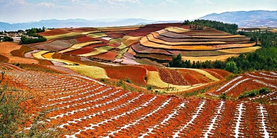 Menengok teras warna-warni di Dongchuan