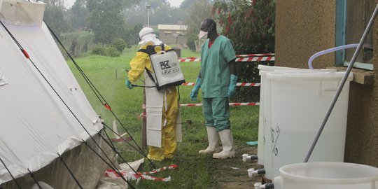 Pemerintah minta WNI tak pergi ke negara rawan virus ebola