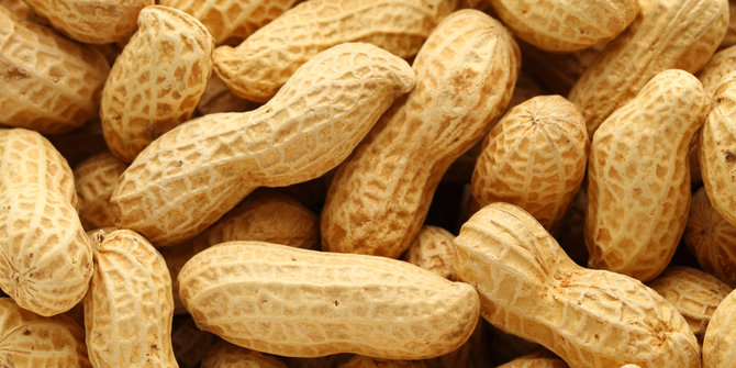 6 Manfaat mengonsumsi kacang  tanah  merdeka com