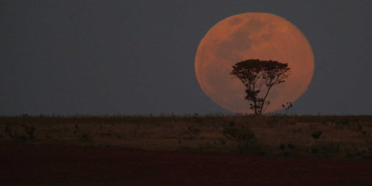 Indahnya fenomena Supermoon dilihat dari berbagai belahan dunia