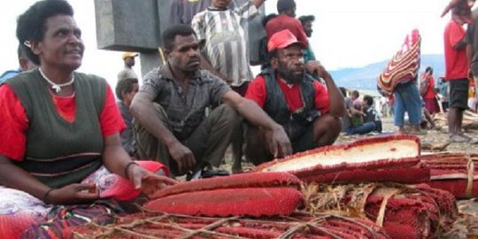 Cerita buah merah Papua yang bisa tangkal HIV/AIDS