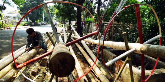 Berburu pohon pinang jelang perayaan HUT Kemerdekaan RI