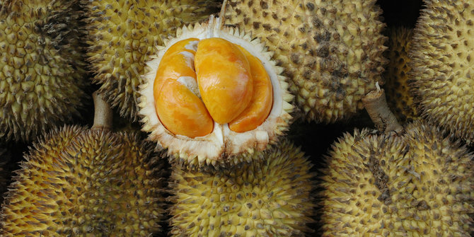 4 Durian langka  yang melegenda merdeka com