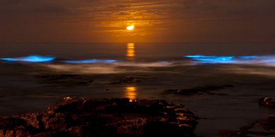 ha long yang menyala di malam hari