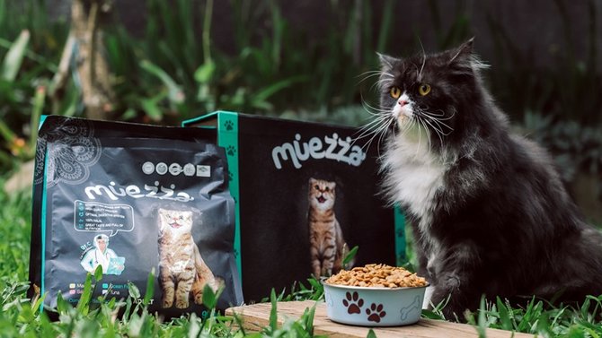 muezza makanan kucing halal