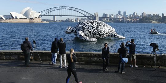 'Penyu raksasa' ini hebohkan warga Sydney