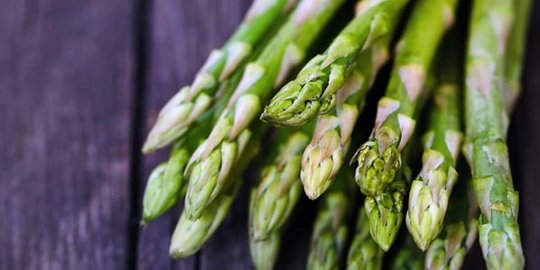 12 makanan ini cegah ejakulasi dini secara efektif [part 1]