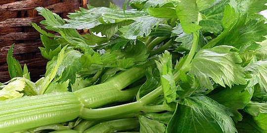 12 makanan ini cegah ejakulasi dini secara efektif [part 2]