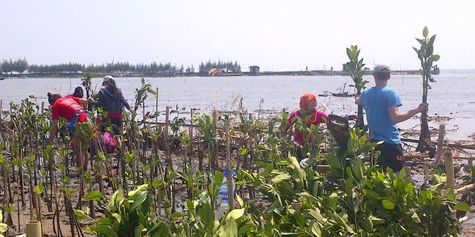 HUT RI di Semarang, nelayan kibarkan bendera di ladang 