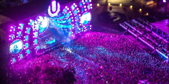 festival rev4