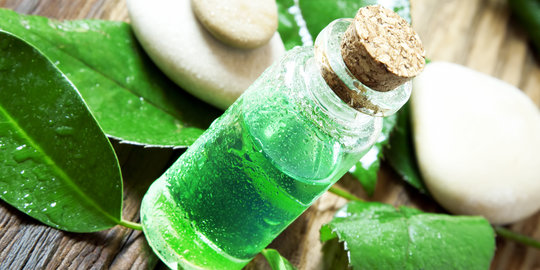 5 Khasiat ajaib tea tree oil untuk kecantikan