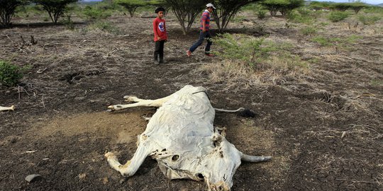 Pengaruh El Nino, Amerika Tengah dilanda kekeringan ekstrem