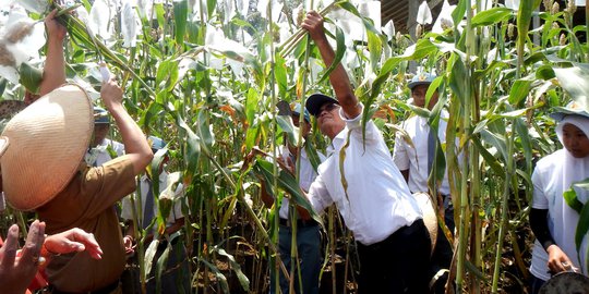 Digaji Rp 19 Juta, Dahlan tak iri gaji bos BUMN ratusan juta