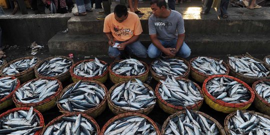 Indonesia belum buka keran impor ikan besar-besaran karena malu