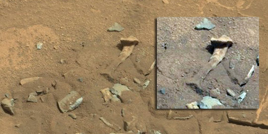 Ditemukan obyek mirip tulang paha binatang di planet Mars