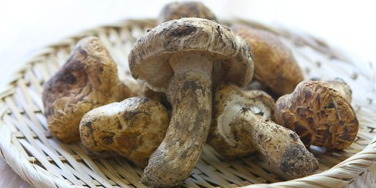 ketahui 5 makanan terlangka di dunia!