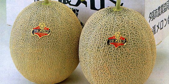 ketahui 5 makanan terlangka di dunia!