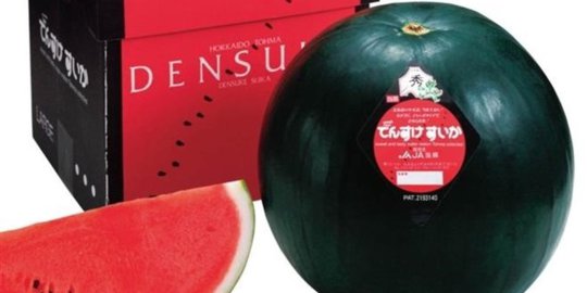 ketahui 5 makanan terlangka di dunia!