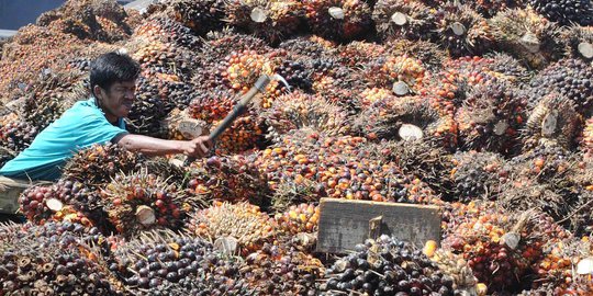 Ekspor dan harga minyak sawit Indonesia anjlok