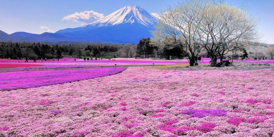 di takinoue park hokkaido jepang