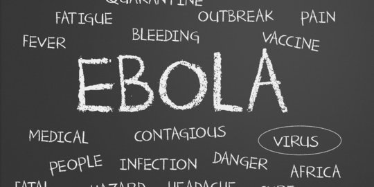 Mewabah di Kongo, Ebola menggila