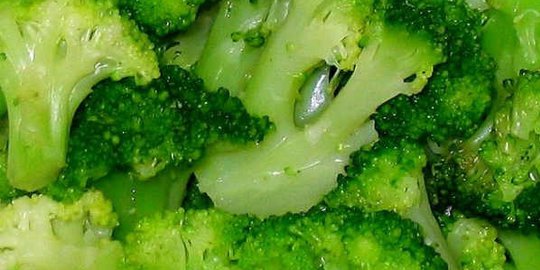 konsumsi 13 makanan paling sehat di dunia ini [part 2]