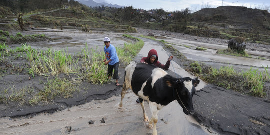 Peneliti Jepang pasang pendeteksi lahar dingin di Gunung Kelud