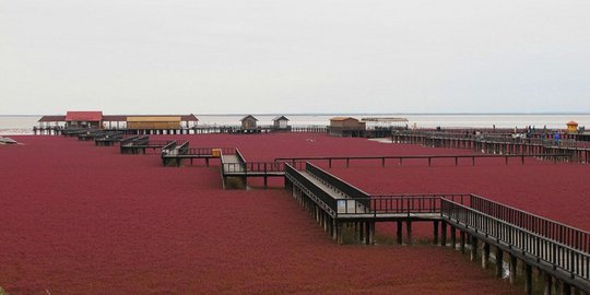 Keajaiban 8 pantai paling berwarna-warni di dunia