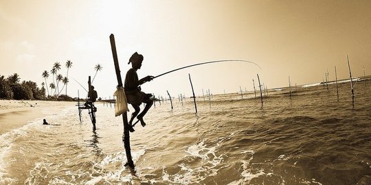 Seni memancing ikan di atas panggung kayu