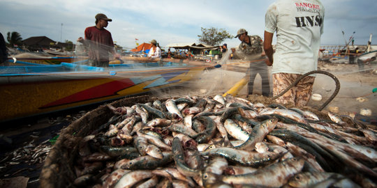 BBM bersubsidi dibatasi, pendapatan nelayan merosot 50 persen