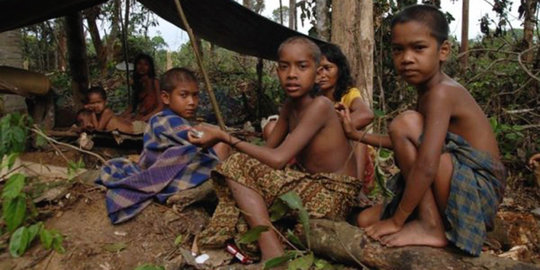 Suku Anak Dalam tuntut dana Rp 1,6 M dari PT Asiatic Persada