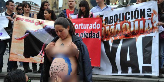 Demo menentang adu banteng, ibu hamil ini nekat bugil
