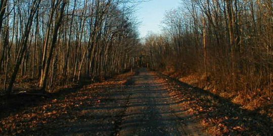 lane wisconsin