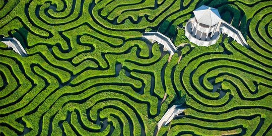 Longleat Hedge Maze, taman labirin menakjubkan terumit di dunia