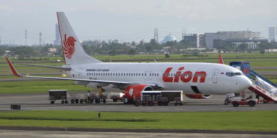 Lion Air siapkan 2 hektar buat bikin bandara sendiri