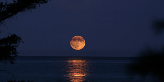 Trilogi Supermoon 2014 ditutup dengan Harvest Moon malam nanti