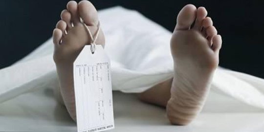 Cerita lima orang sejagat yang hidup lebih dari sekali